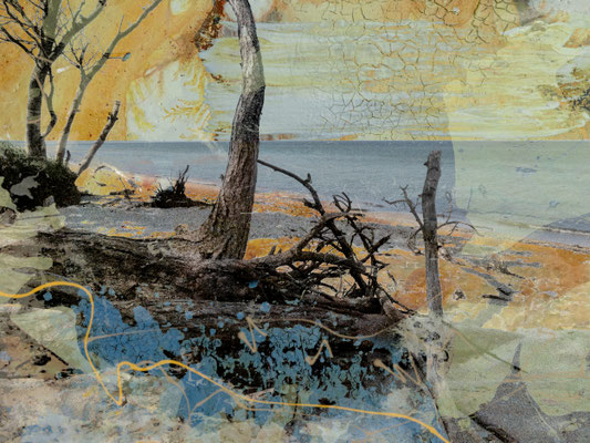 Darss-Strand IV