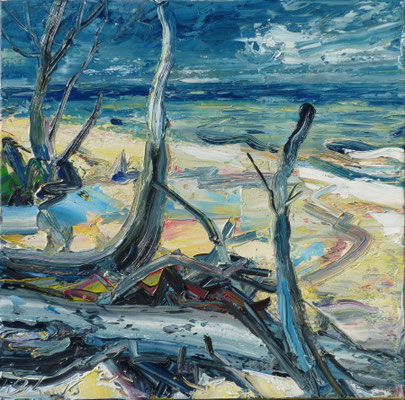 Wilder Strand, Öl/Lw  60 x 60 cm