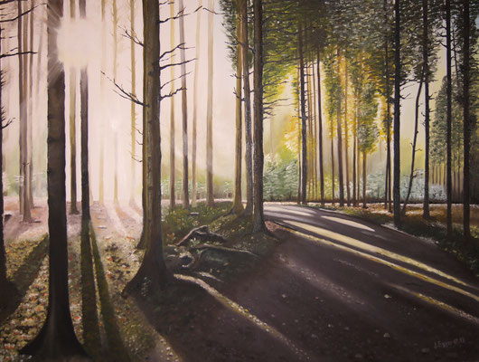 Frauenfelder Wald 2013, 80 x 60 cm, verkauft