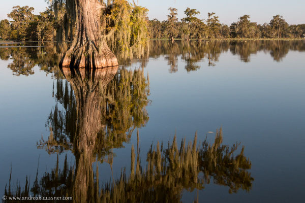 Lake Martin, Louisiana