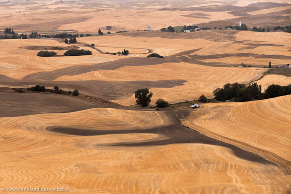 Palouse, Washington