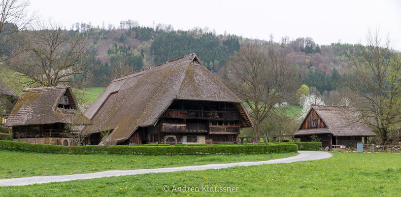 Schwarzwald, Deutschland / Black Forest, Germany