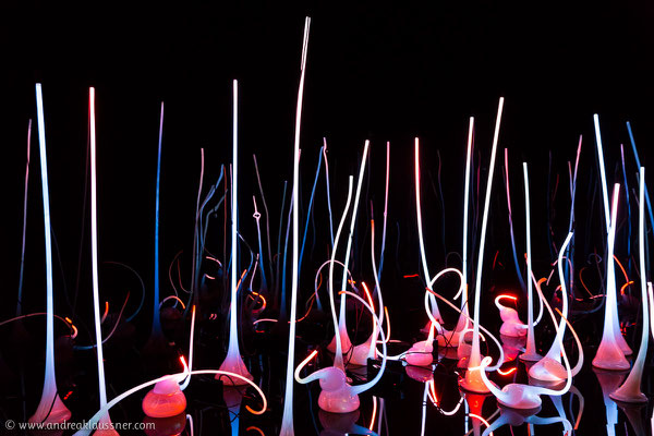 Seattle, Chihuly Garden & Glass