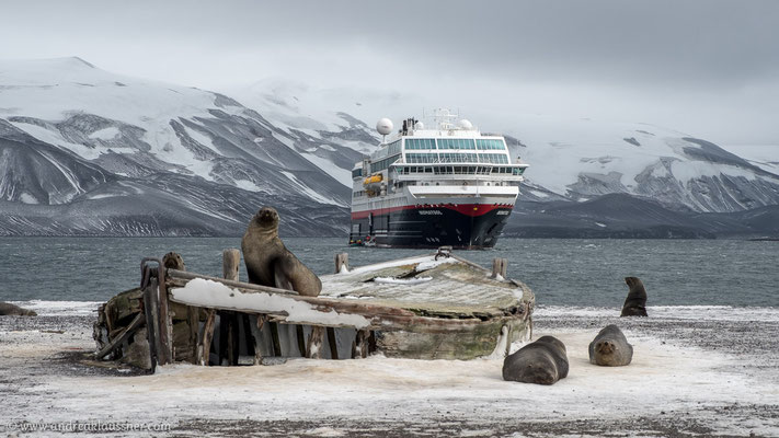 Whaler's Bay / Deception Island