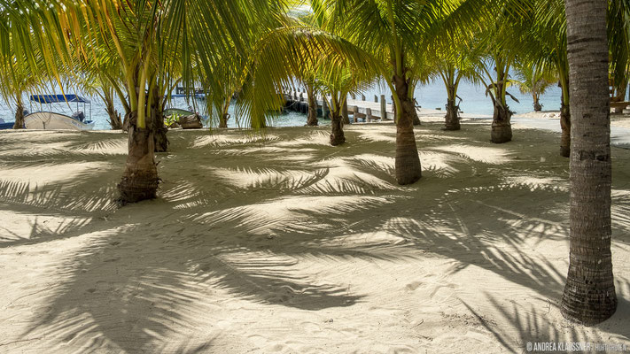 Cayos Cochinos / Honduras
