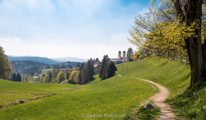 Schwarzwald, Deutschland / Black Forest, Germany