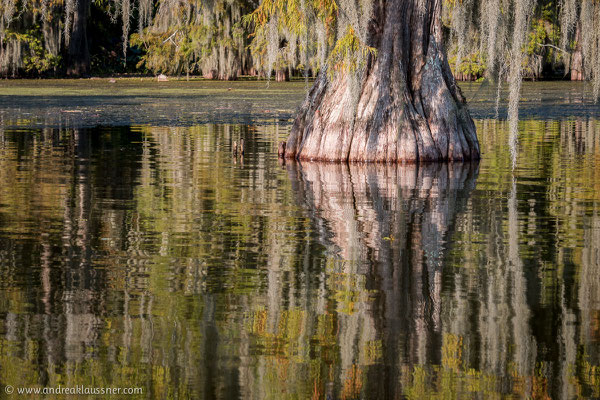 Lake Martin, Louisiana