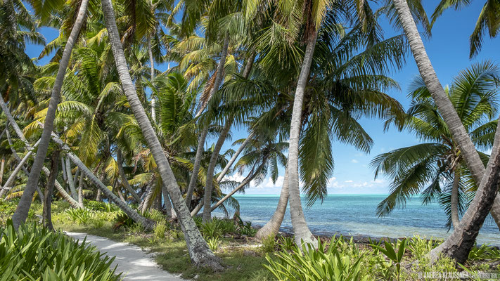 Lighthouse Reef / Belize
