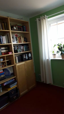Elsner_Wand_und_Raumdesign_grüne_Wandgestalltung_Arbeitszimmer