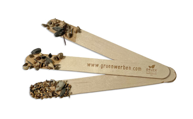 Frühlings-Special SEEDSTICK