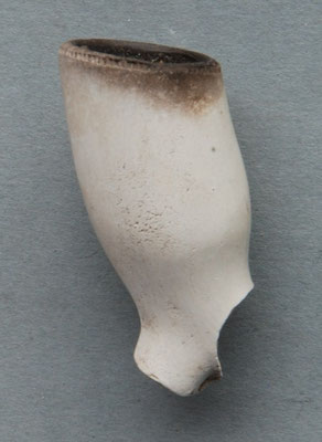 Wat langgerektere kop, met dikke steel en duidelijke hiel ; ca 1660-1680