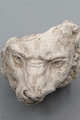 Cat nr 1364 - Lion