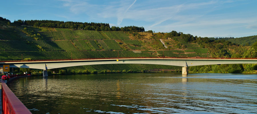 Die Mosel bei Mehring