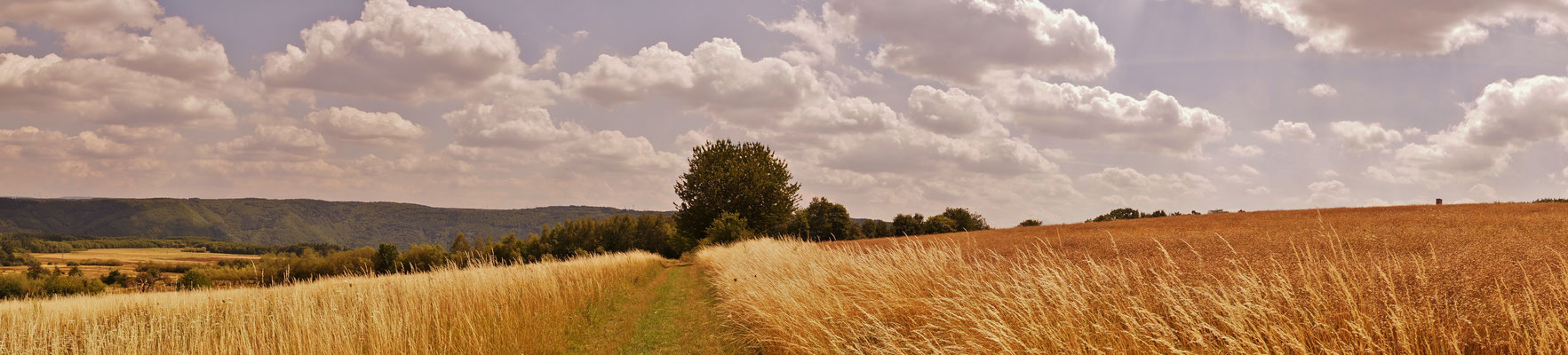 Hier geht`s zum Huxlay-Plateau