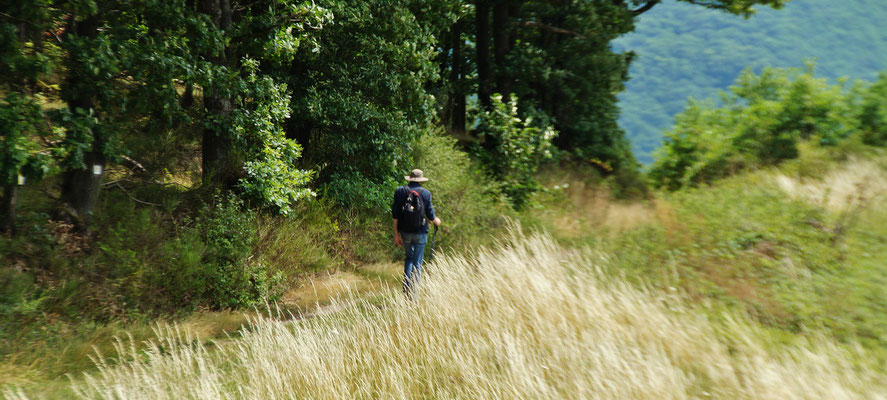 Der Wanderer