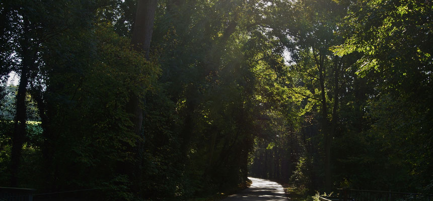 Kleine Landstraßen mitten in waldigen Abschnitten