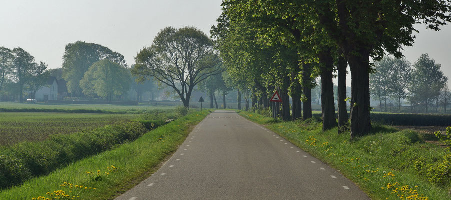 Ruhige Landstraßen ermöglichen eine stressfreie Fahrt