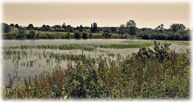 Eine wunderschöne Seenlandschaft bei Lottum