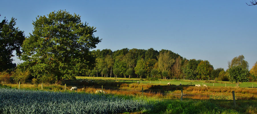 Idyllischer Herbst