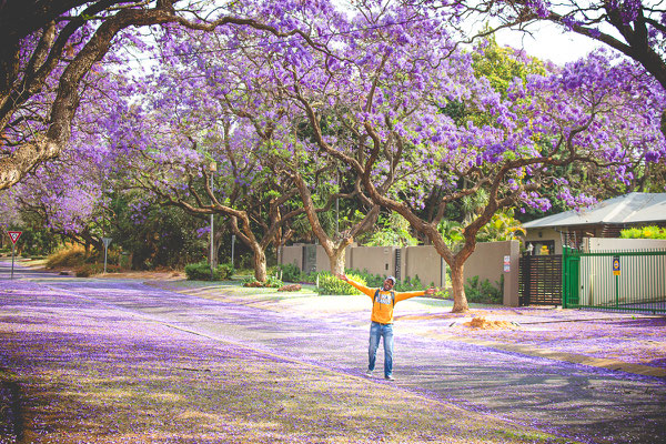 Pertoria | South Africa