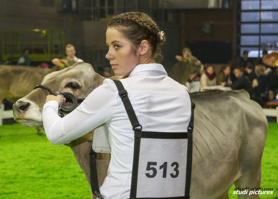 Junior Contest 2018 - Showmanship Wettbewerb