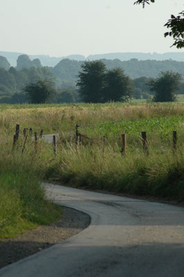 Walk