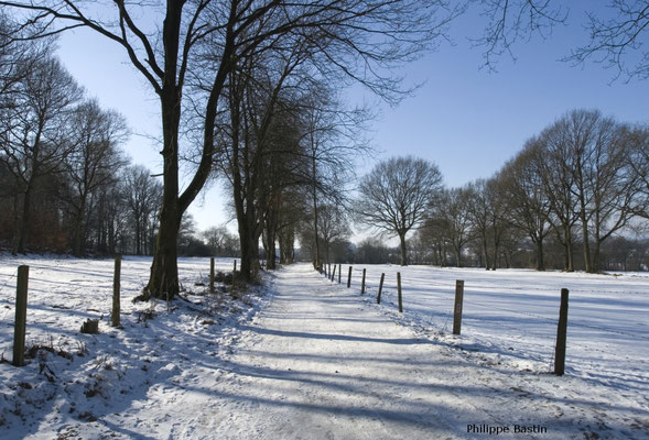 Snow