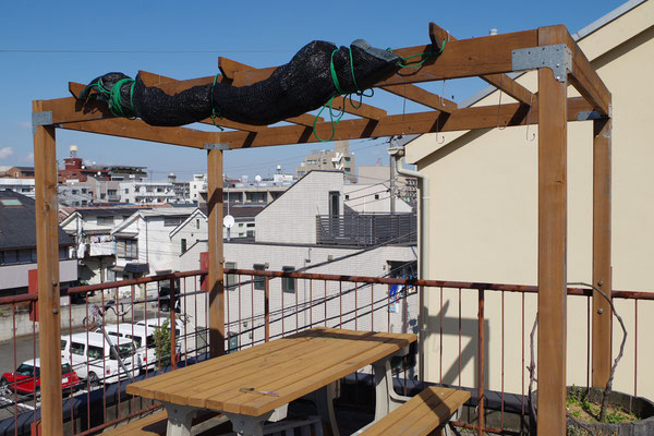 屋上のパーゴラ