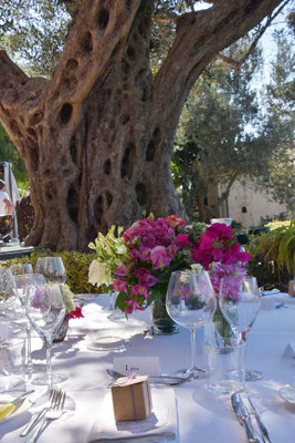 Heiraten am Gardasee