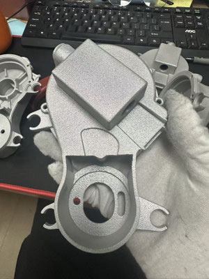 PROFESSIONAL 3D PRINTING