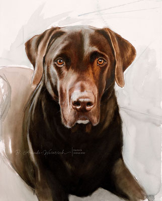 Hundeportrait Labrador Retriever gemalt in Aquarell. Auftragsarbeit im Format 40 x 50 cm. 