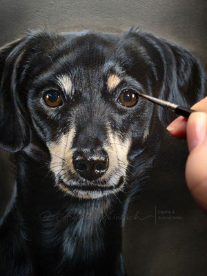 Hundeportrait in Öl auf Leinwand Ölgemälde