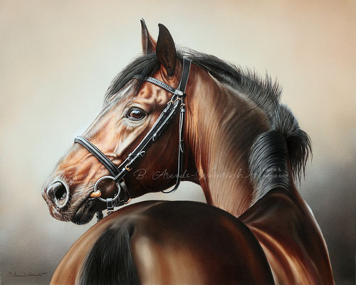 Pferde Tierportrait gemalt in Öl auf Leinwand im Format 50 x 60cm. Fotovorlage © Jutta Jäger