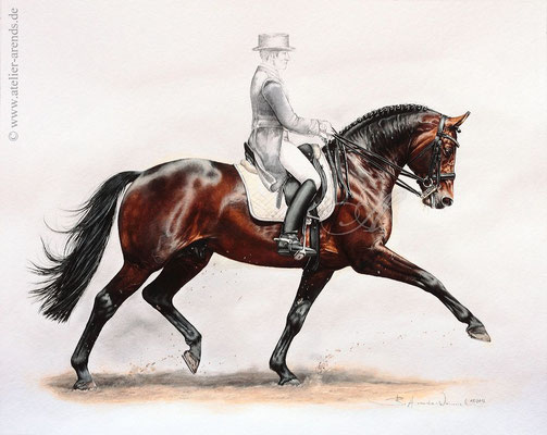 Pferdeportrait Lord Sinclair in Aquarell, freie Arbeit 40 x 50cm. Fotovorlage: © B. Arends-Weinrich