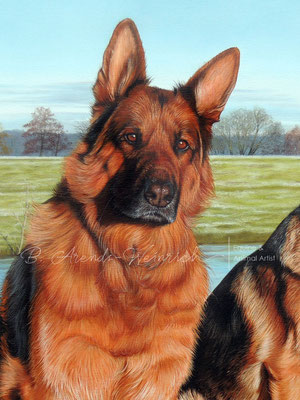 Ölgemälde Hundeportrait Deutscher Schäferhund