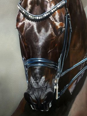 Equine Art Dressage Dressur Ölgemälde Pferdeportrait