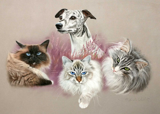 Tierportraits von Katzen und einem Hund als Collage. Pastell im Format 50 x 70 cm.