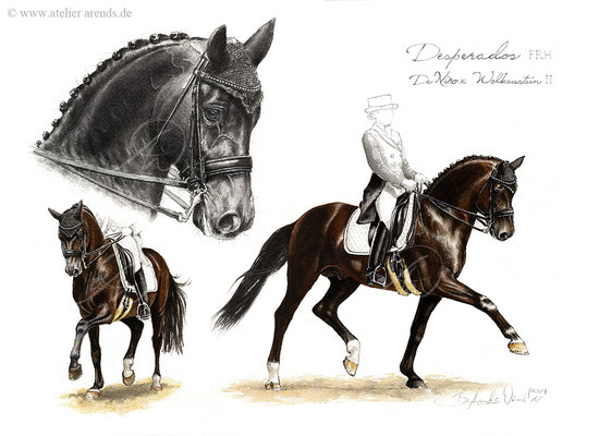 Pferdeportrait Studie von Desperados FRH in Aquarell, freie Arbeit, format 30 x 40 cm. SOLD. Fotovorlage: © B. Arends-Weinrich
