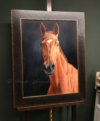 Pferdeportrait gemalt in Öl auf Leinwand mit Rahmen. 