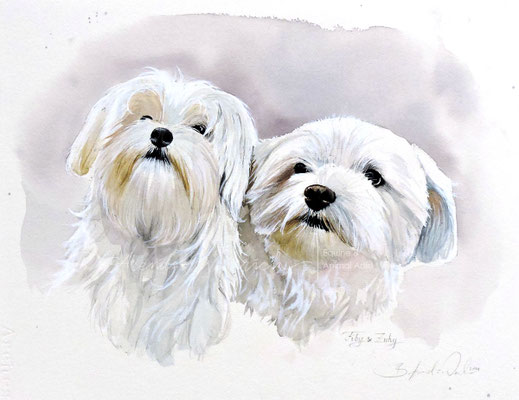 Hundeportrait Aquarell Malteser beauftragen nach Foto Geschenk Hundebesitzer