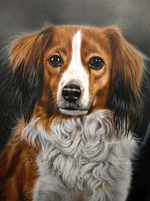 Hundeportrait in Öl auf Leinwand Ölgemälde