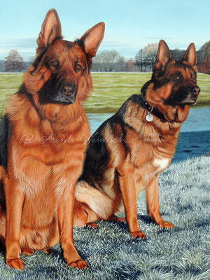 Hundeportrait in Öl Ölgemälde auf Leinwand Deutsche Schäferhunde