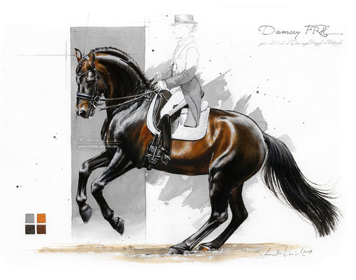 Pferdeportrait Damsey FRH, gemalt in Aquarell. Format 30 x 40 cm. Fotovorlage: © B. Arends-Weinrich
