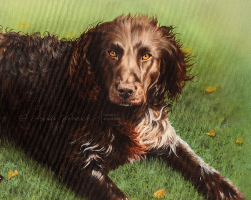 Hundeportrait gemalt in Öl auf Leinwand, Details