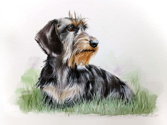 Hundeportrait Aquarell Stil Dackel Bild nach Fotovorlage Geschenk Hundebesitzer