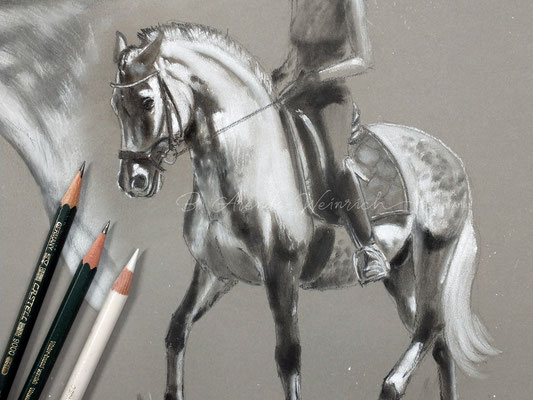 Pferdeportrait eines PRE's gezeichnet mit Bleistift auf grauem Papier. Auftragsarbeit nach Fotovorlage im Format 30 x 40 cm.