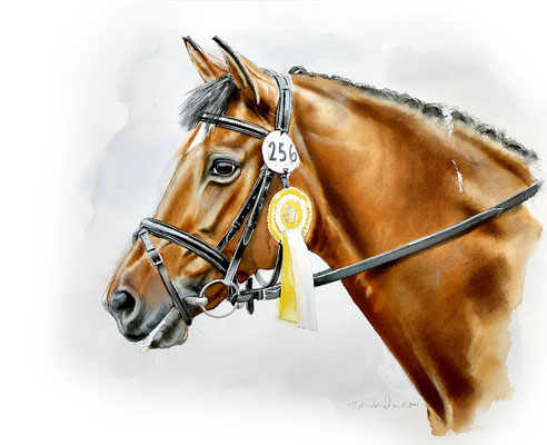 Aquarell Tierportrait Reit Pony. Auftragsarbeit im Format 30 x 40 cm. 