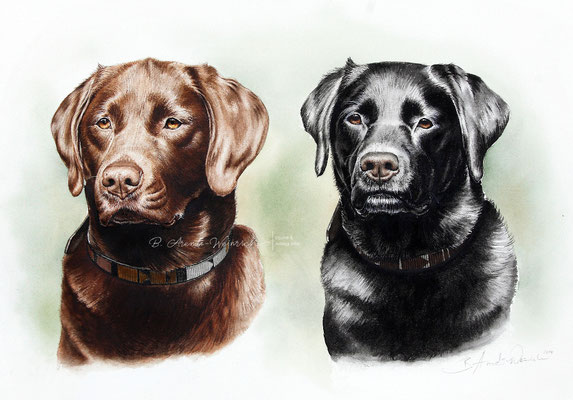 Hundeportrait Labrador Aquarell ach Foto Geschenk Hundebesitzer
