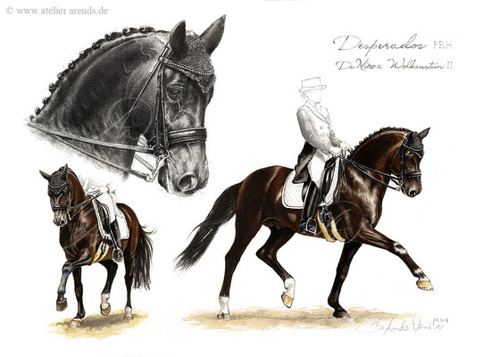 Tierportrait Dressur Pferd Desperados FRH gemalt in Aquarell, Format 30 x 40 cm. Fotovorlagen © Britta Arends-Weinrich