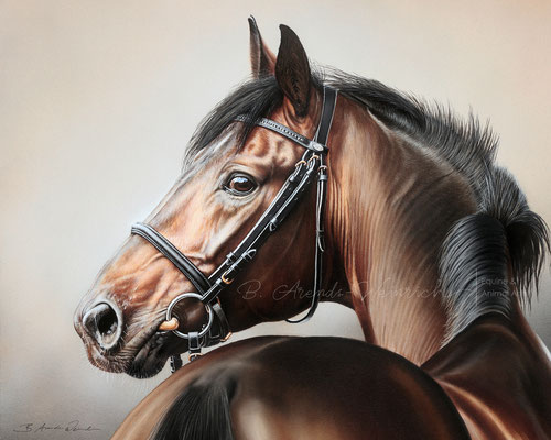 Pferdeportrait gemalt in Öl. Freie Arbeit im Format 50x 60cm 